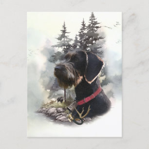 Carte Postale Pointeur À poils durs allemand, GWP