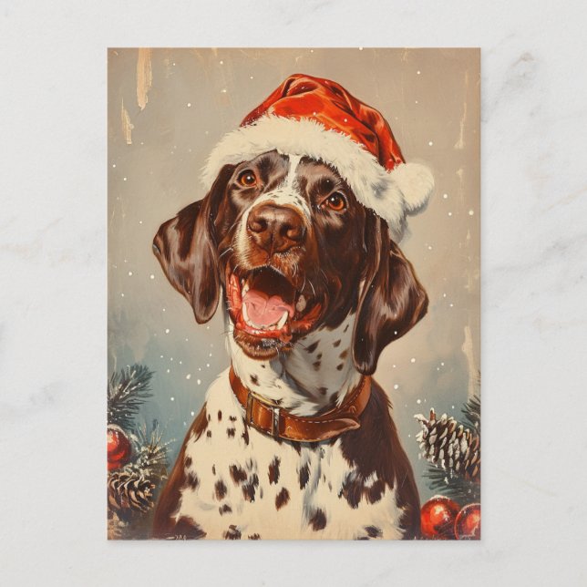 Carte Postale Pointeur court allemand Noël (Devant)