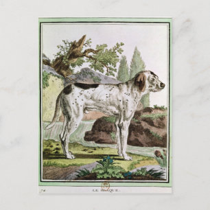 Carte Postale Pointeur, illustration de 'Histoire