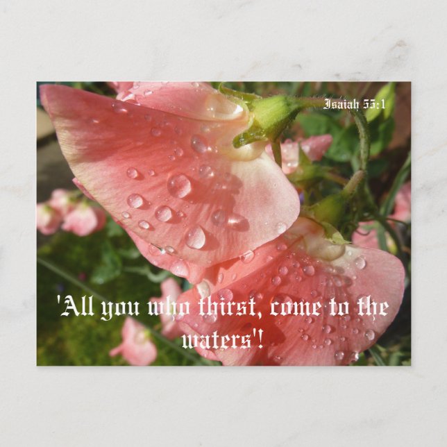 Carte Postale Pois doux (Devant)