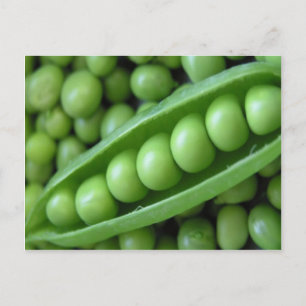 CARTE POSTALE POIS LÉGUMES