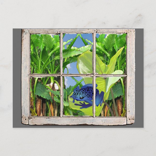 Carte Postale Poison grenouille (Devant)