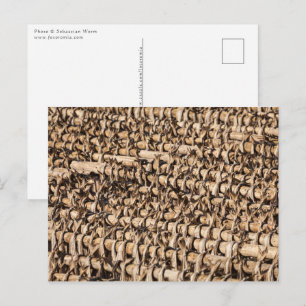 Carte Postale Poisson