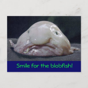 Carte Postale poisson