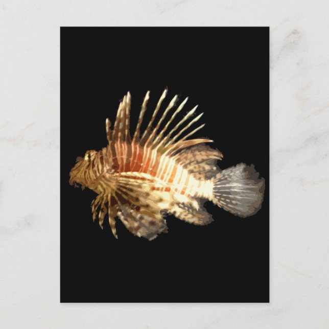Carte Postale Poisson (Devant)