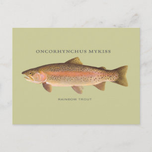 Carte Postale Poisson à truite arc-en-ciel avec illustration vin