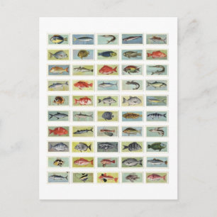 Carte Postale Poisson africain