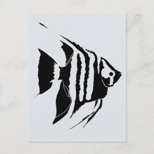 Carte Postale Poisson-ange. Noir et blanc. Monochrome