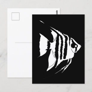 Carte Postale Poisson-ange. Noir et blanc. Monochrome