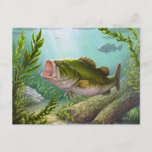 Carte Postale Poisson basse