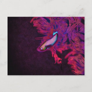 Carte Postale Poisson Bêta rose, pourpre et bleu