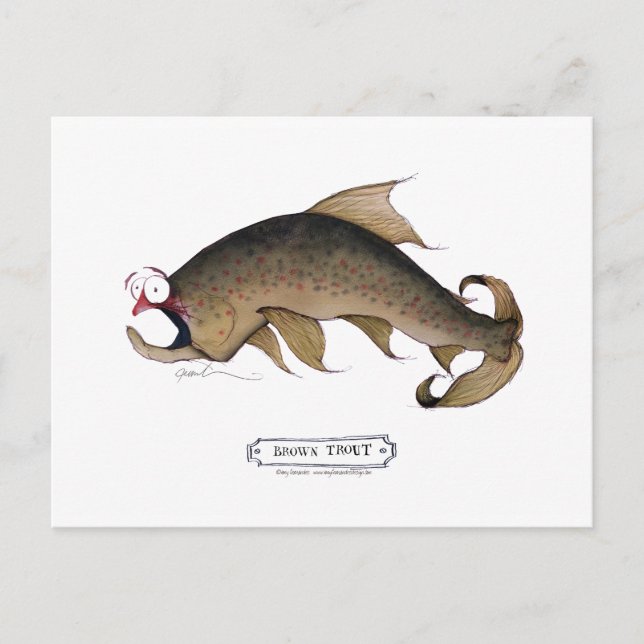 Carte Postale Poisson Brown de truite, tony fernandes (Devant)