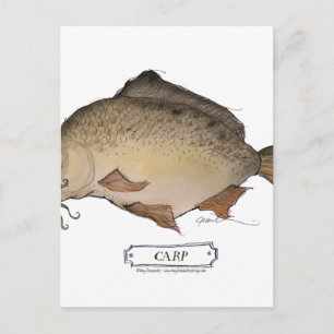 Carte Postale Poisson carpe, tony fernandes