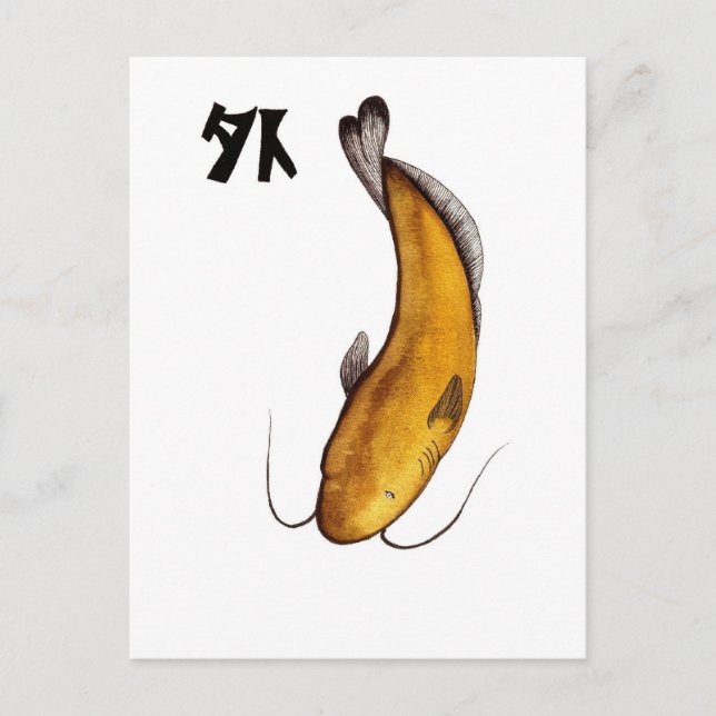 Carte Postale poisson-chat Néant (Devant)