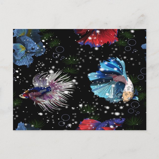 Carte Postale Poisson couleur Betta (Devant)