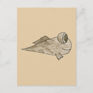 Carte Postale Poisson de mouton.