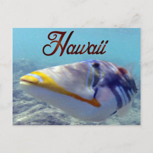 Carte Postale Poisson d'État d'Hawaï - Humuhumunukunukuapua'a