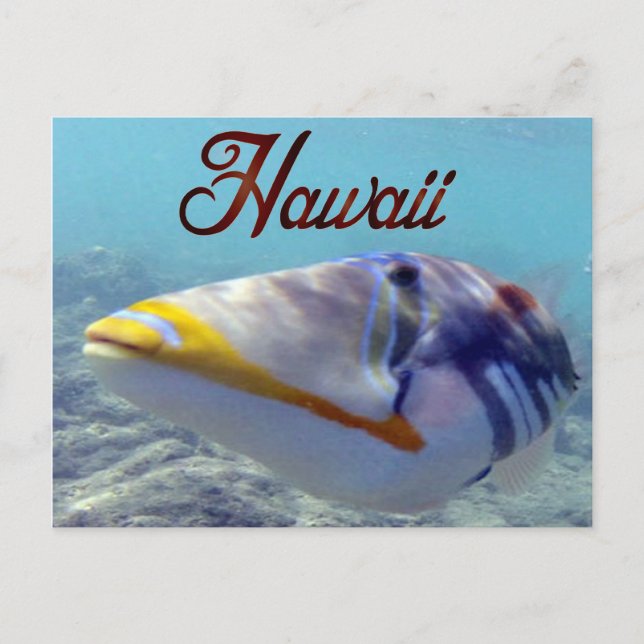 Carte Postale Poisson d'État d'Hawaï - Humuhumunukunukuapua'a (Devant)