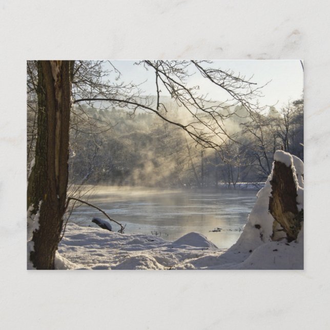 Carte Postale Poisson et glace à Calver Weir (Devant)