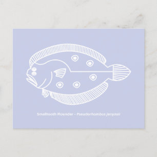 Carte Postale Poisson flet amusant en blanc sur fond violet clai