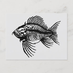 Carte postale Poisson Fossile