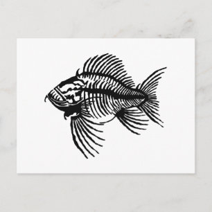 Carte Postale Poisson fossile