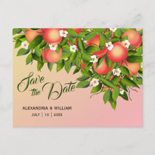 Carte Postale Poisson Fruit Botanique   Mariage Enregistrer La D