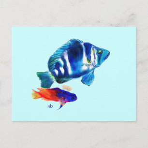 Carte Postale Poisson Indigo, Basslet Fairy