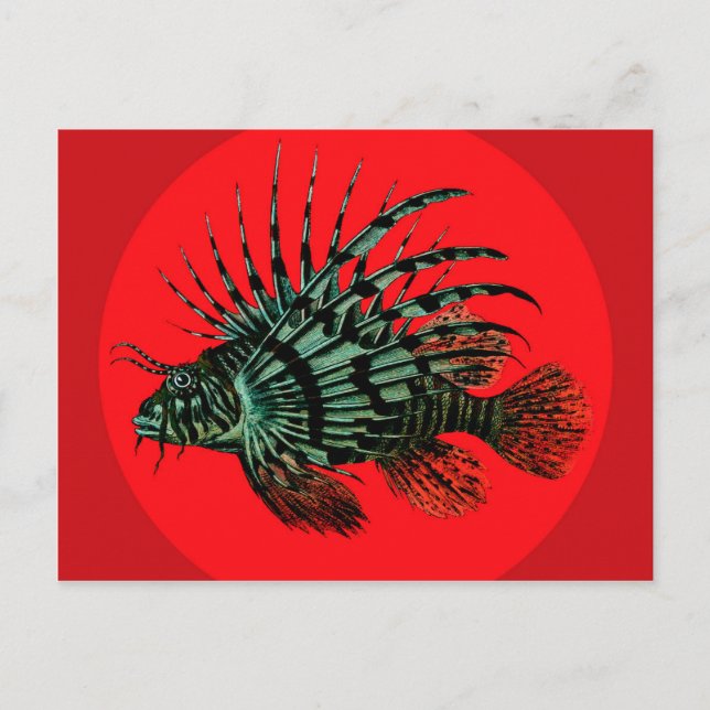 Carte postale Poisson Lion (Devant)