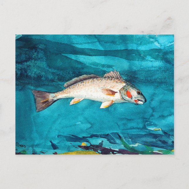 Carte Postale Poisson marin par Winslow Homer (Devant)