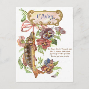 Carte Postale Poisson Matin Gloire
