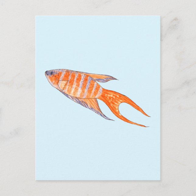 Carte Postale Poisson Paradis, Aquarelle. (Devant)