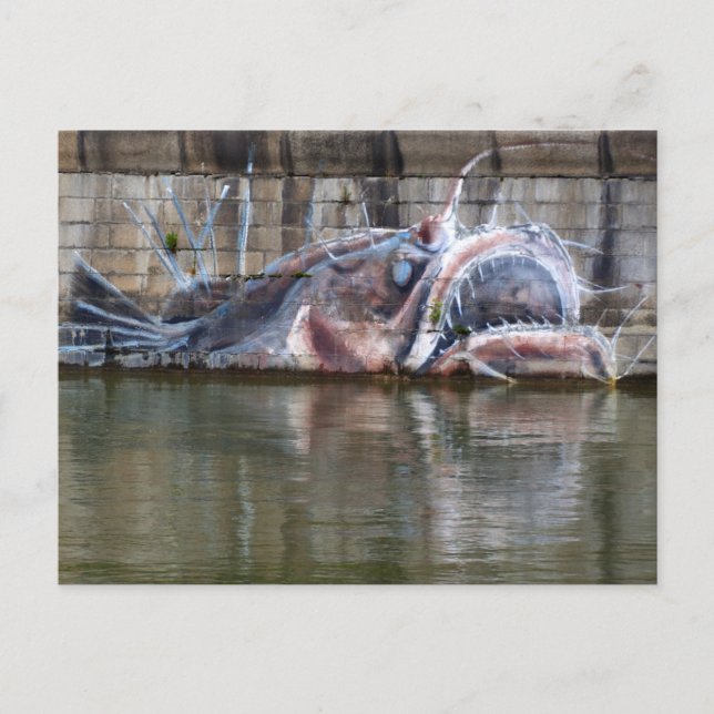 Carte Postale Poisson-pêcheur (Devant)