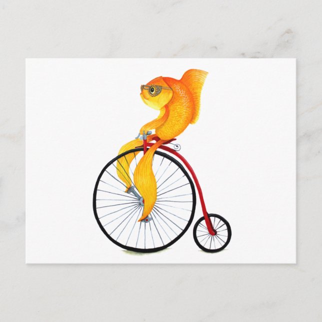 Carte Postale Poisson Penny Farthing (Devant)