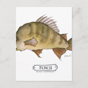 Carte Postale Poisson perche, tony fernandes