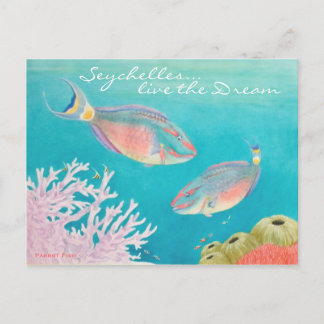 Carte Postale Poisson perroquet