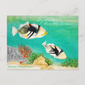 Carte Postale Poisson Picasso