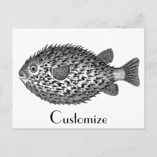 Carte Postale Poisson porc-épic Thunder_Cove