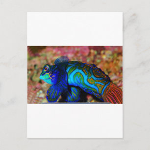 Carte Postale Poisson psychodelique