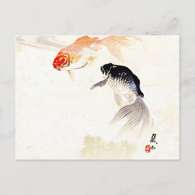 Carte Postale Poisson rouge (Devant)