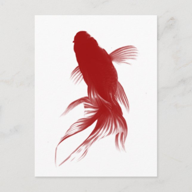 Carte Postale Poisson rouge Ryukin (Devant)