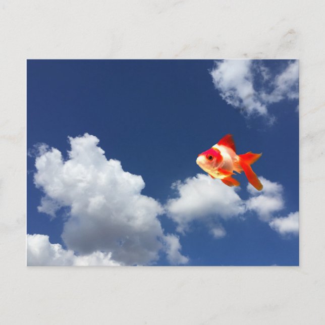 Carte Postale poisson rouge volant (Devant)