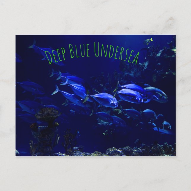 Carte Postale Poisson sous-marin tropical (Devant)
