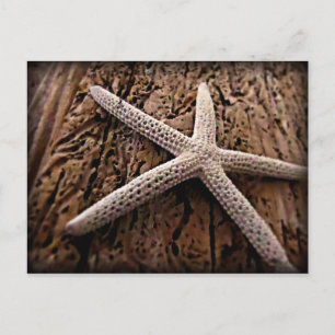Carte Postale Poisson sur bois de chauffe
