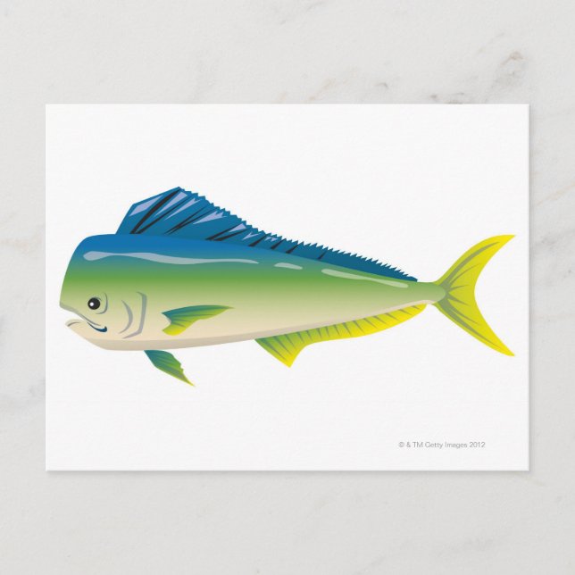 Carte Postale Poisson tropical (Devant)
