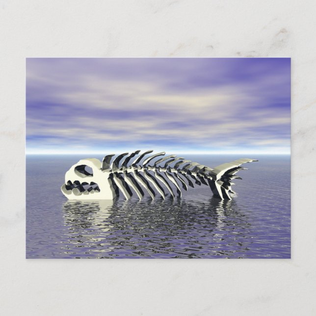 Carte Postale Poissons (Devant)