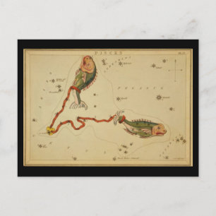 Carte Postale Poissons