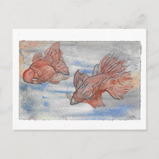 Carte Postale Poissons chics