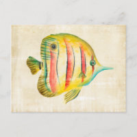 Poissons colorés