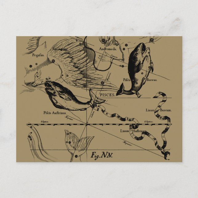 Carte Postale Poissons Constellation Hevelius 1690 Décor (Devant)